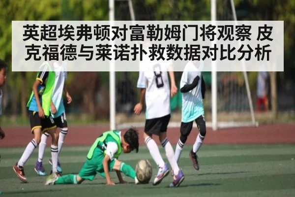 英超埃弗顿对富勒姆门将观察 皮克福德与莱诺扑救数据对比分析 | kaiyun